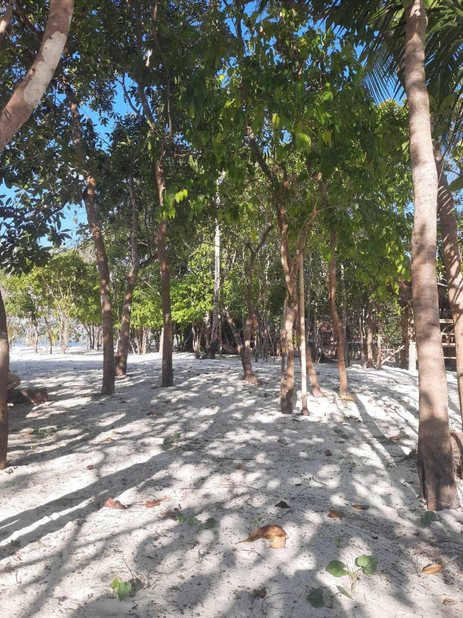 Dosplaya Ecocamp 호텔 엘니도 외부 사진